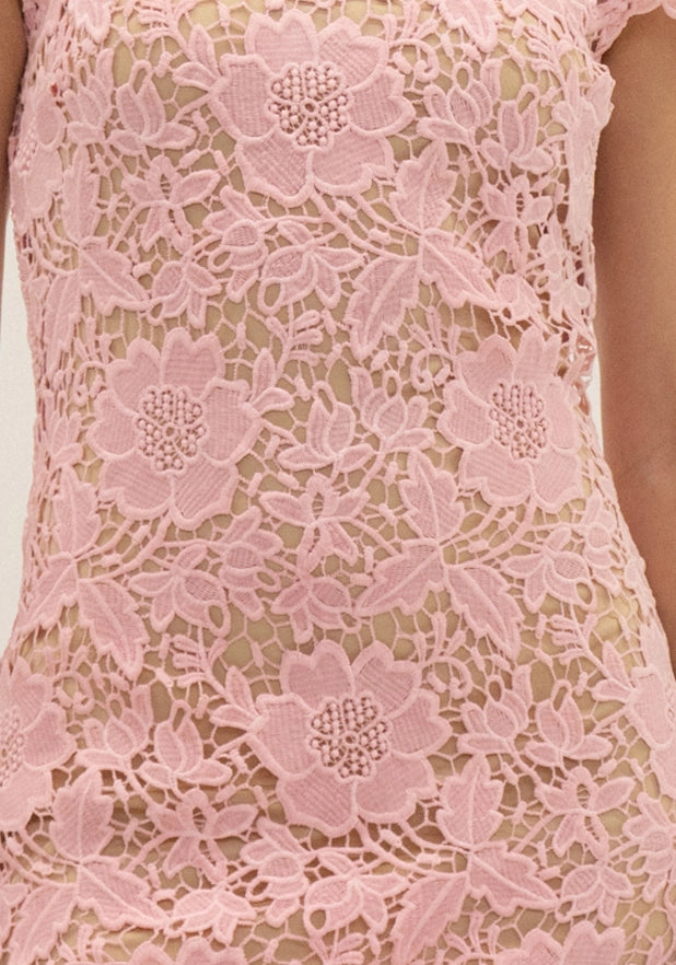 Cap Sleeve Lace Mini Dress - Pink