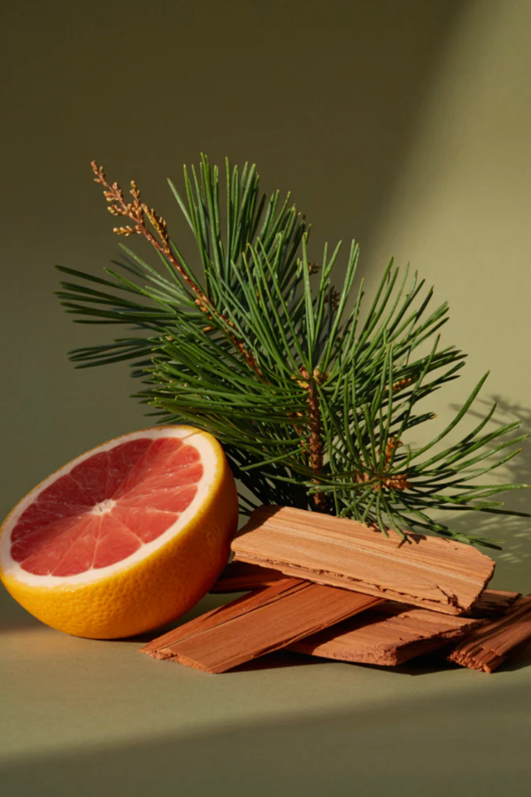 Pura - Barr-Co. Replacement Fragrance - Fir & Grapefruit