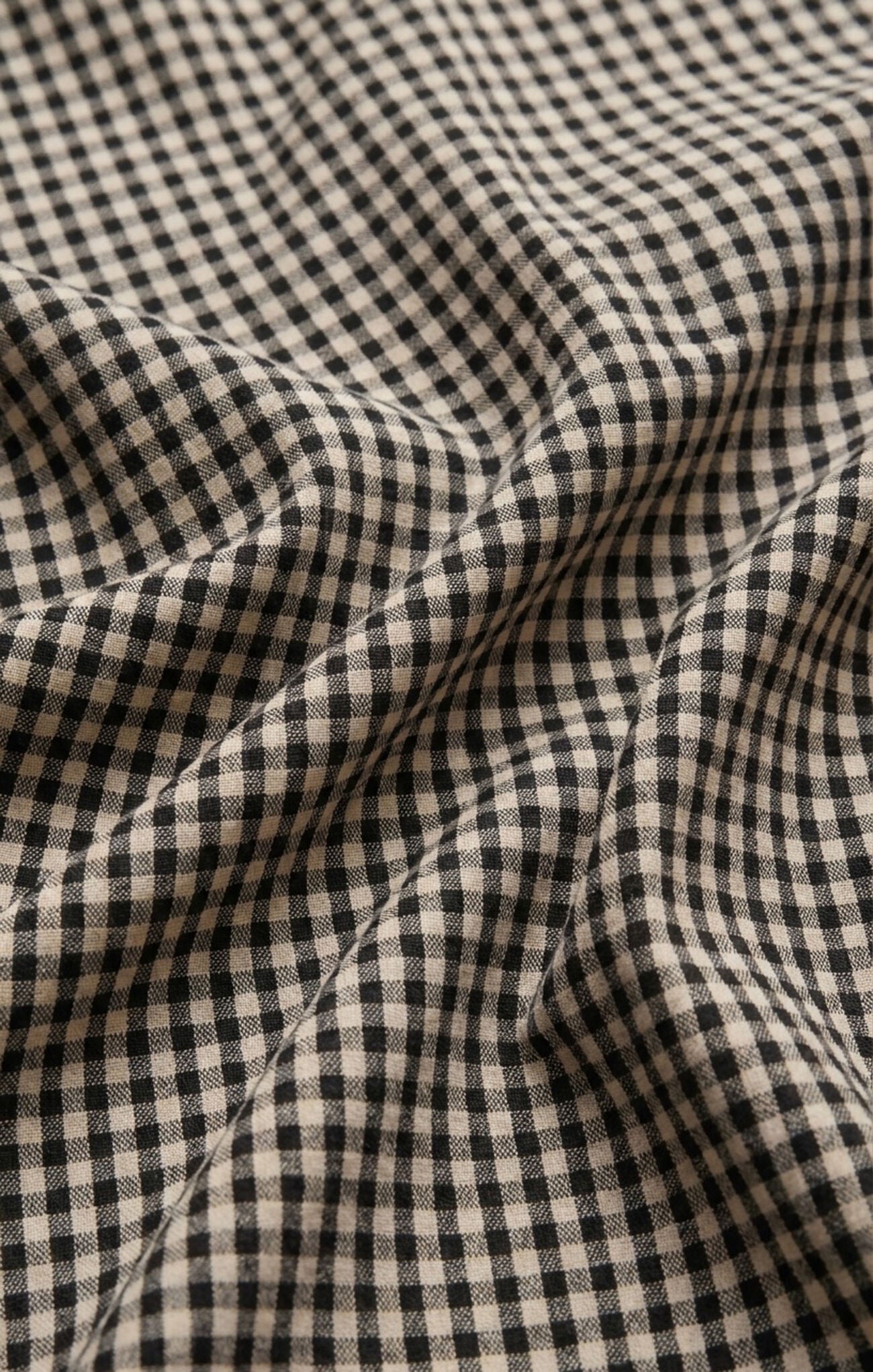 Z Supply Brooke Gingham Skirt - Black