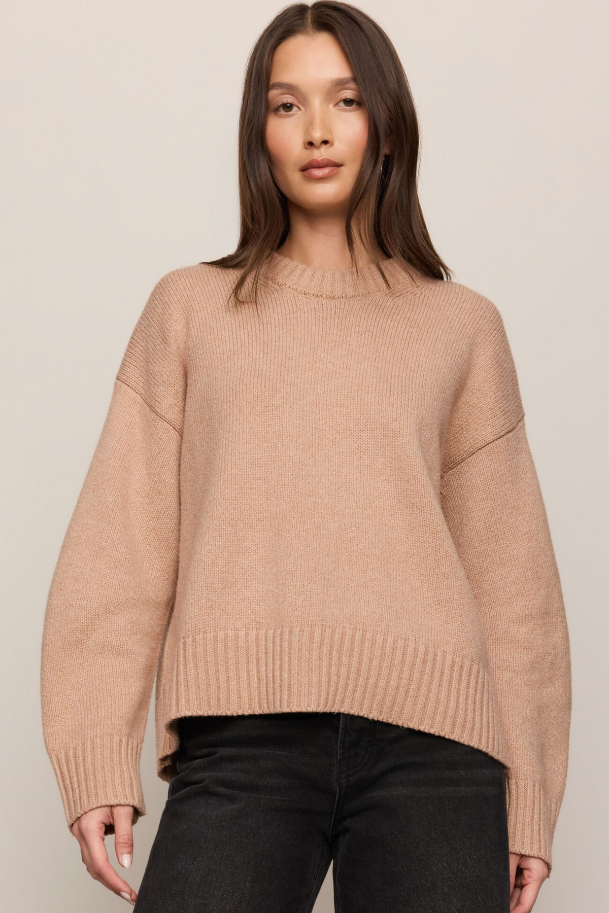 Z Supply - Cloud Spun Shaped Crew Sweater - Toasted Almond