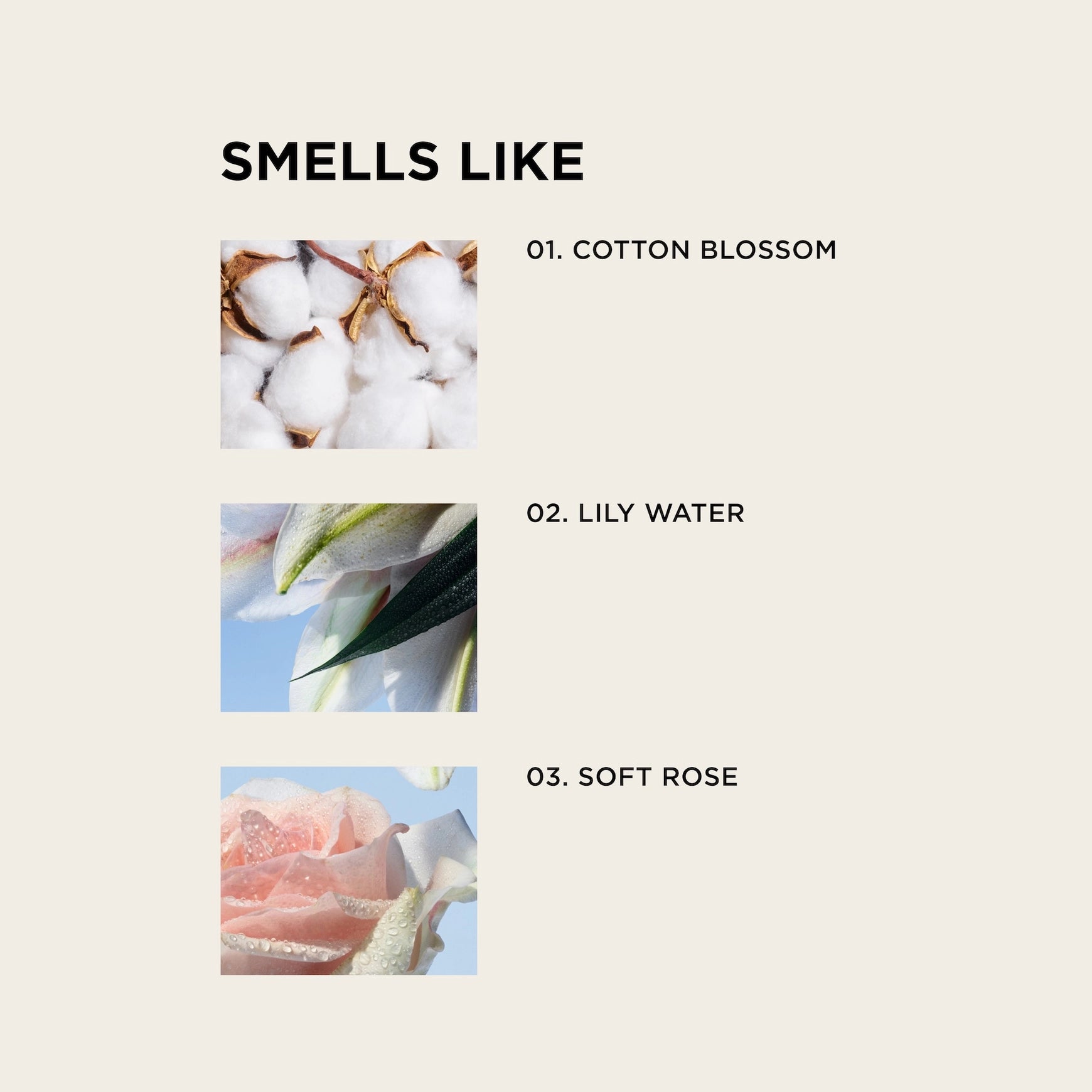 By Rosie Jane - White Tee Perfume Mist