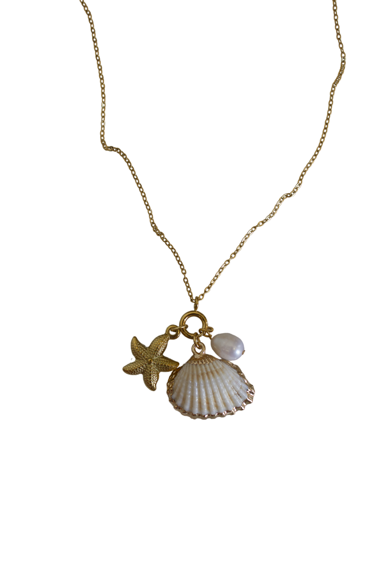 18K Daphne Seashell Charm Necklace