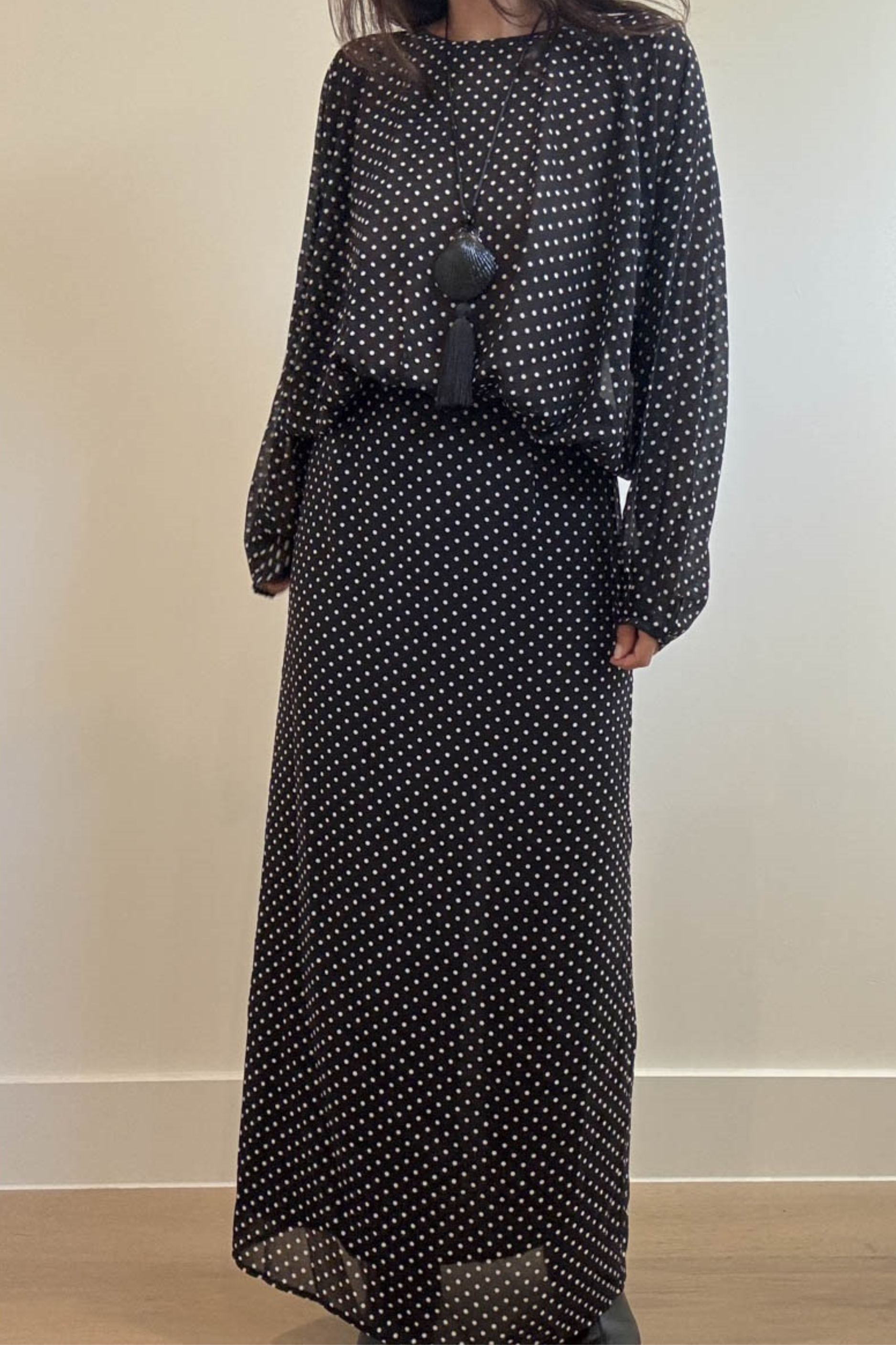 Sheer Polka Dot Printed Maxi Dress