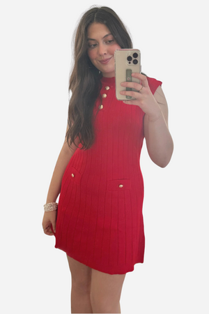 Carly Knit Mini Dress