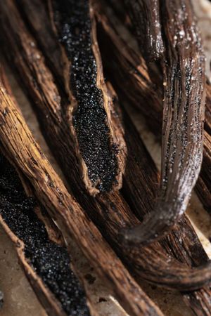 Pura - Allos Replacement Fragrance - Cardamom Vanilla