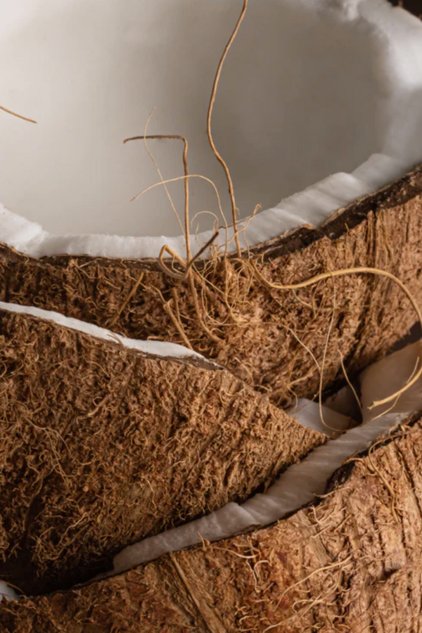 Pura - Mersea Replacement Fragrance - Coconut Sugar