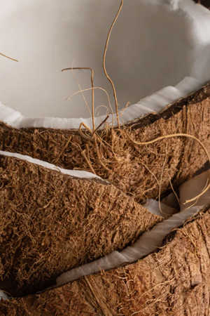 Pura - Mersea Replacement Fragrance - Coconut Sugar