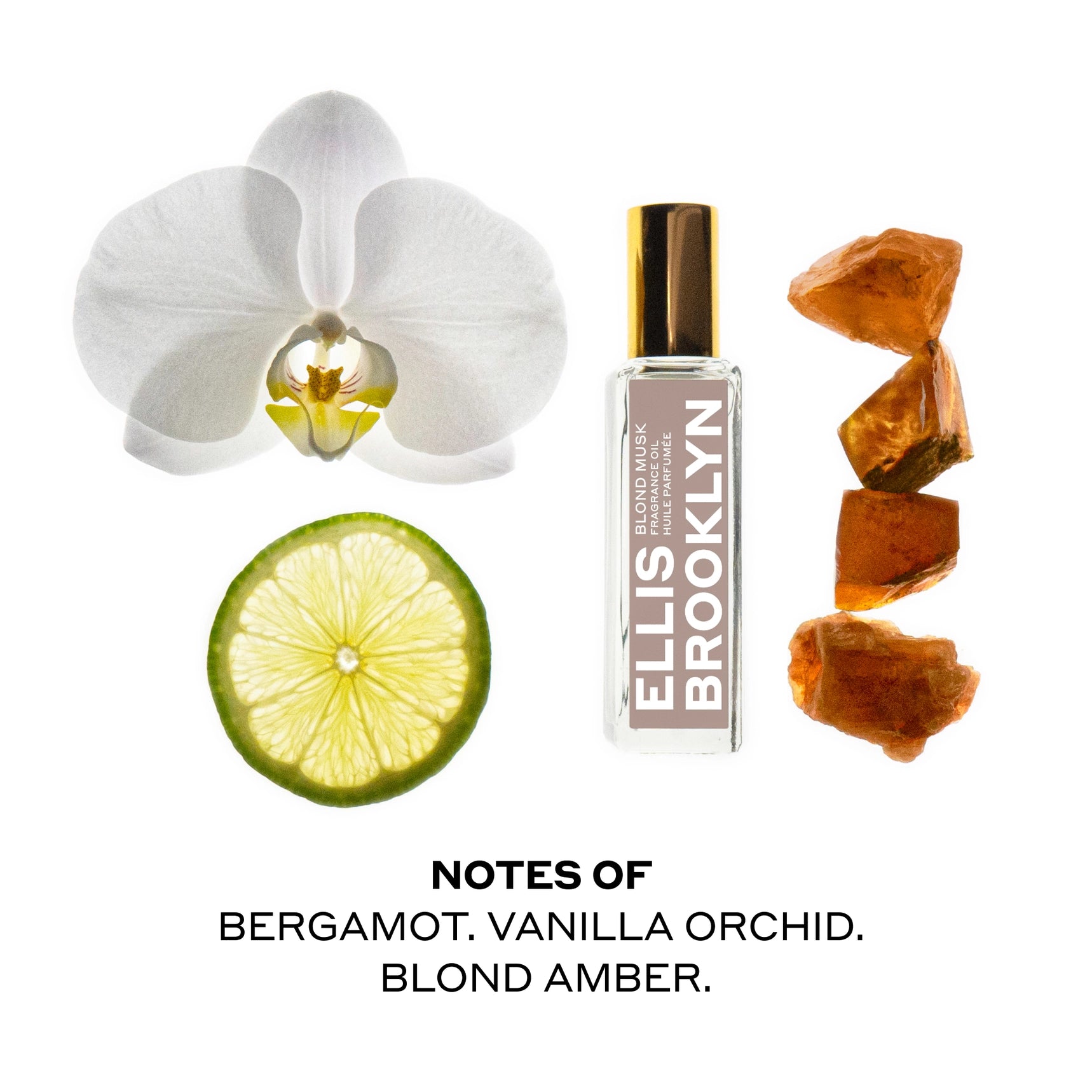 Ellis Brooklyn - Blond Musk Fragrance Oil
