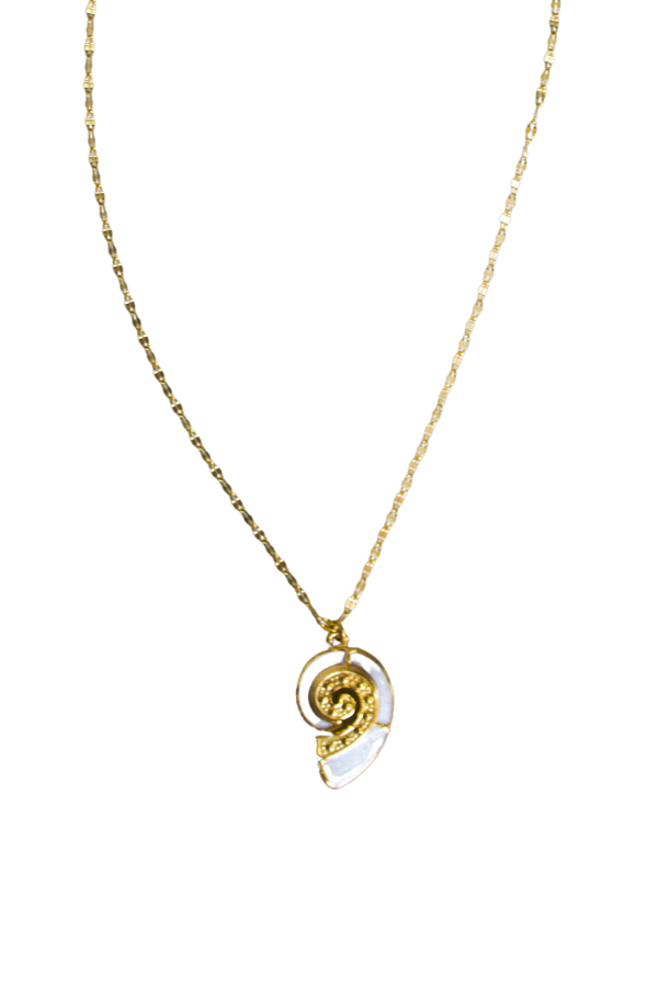 18K Taylor Seashell Necklace