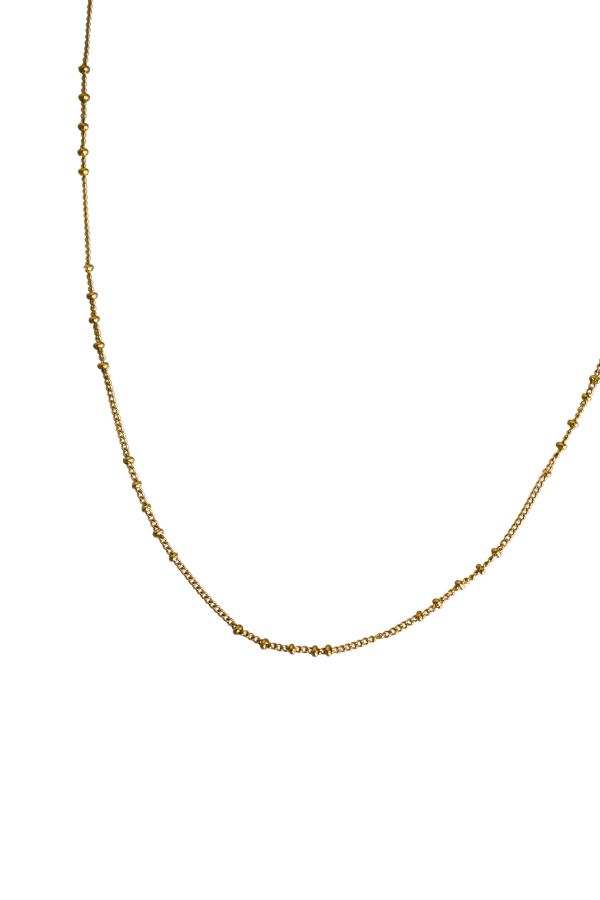 18K Apsen Dainty Necklace
