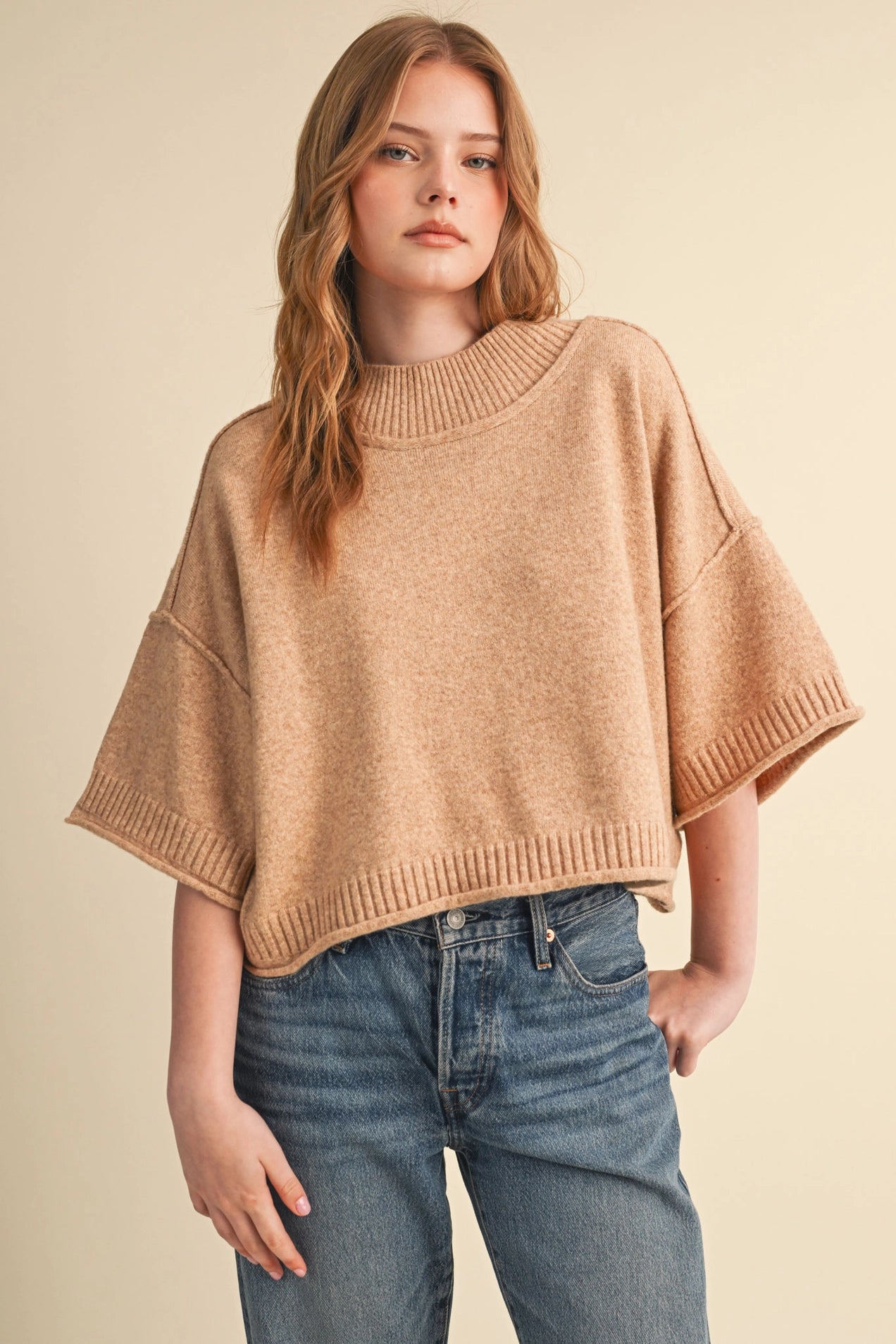 Cropped Knit Short Sleeve Sweater - Oat Beige