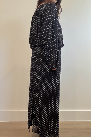 Sheer Polka Dot Printed Maxi Dress