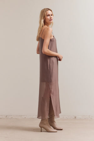 Sheer Maxi Dress - Brown