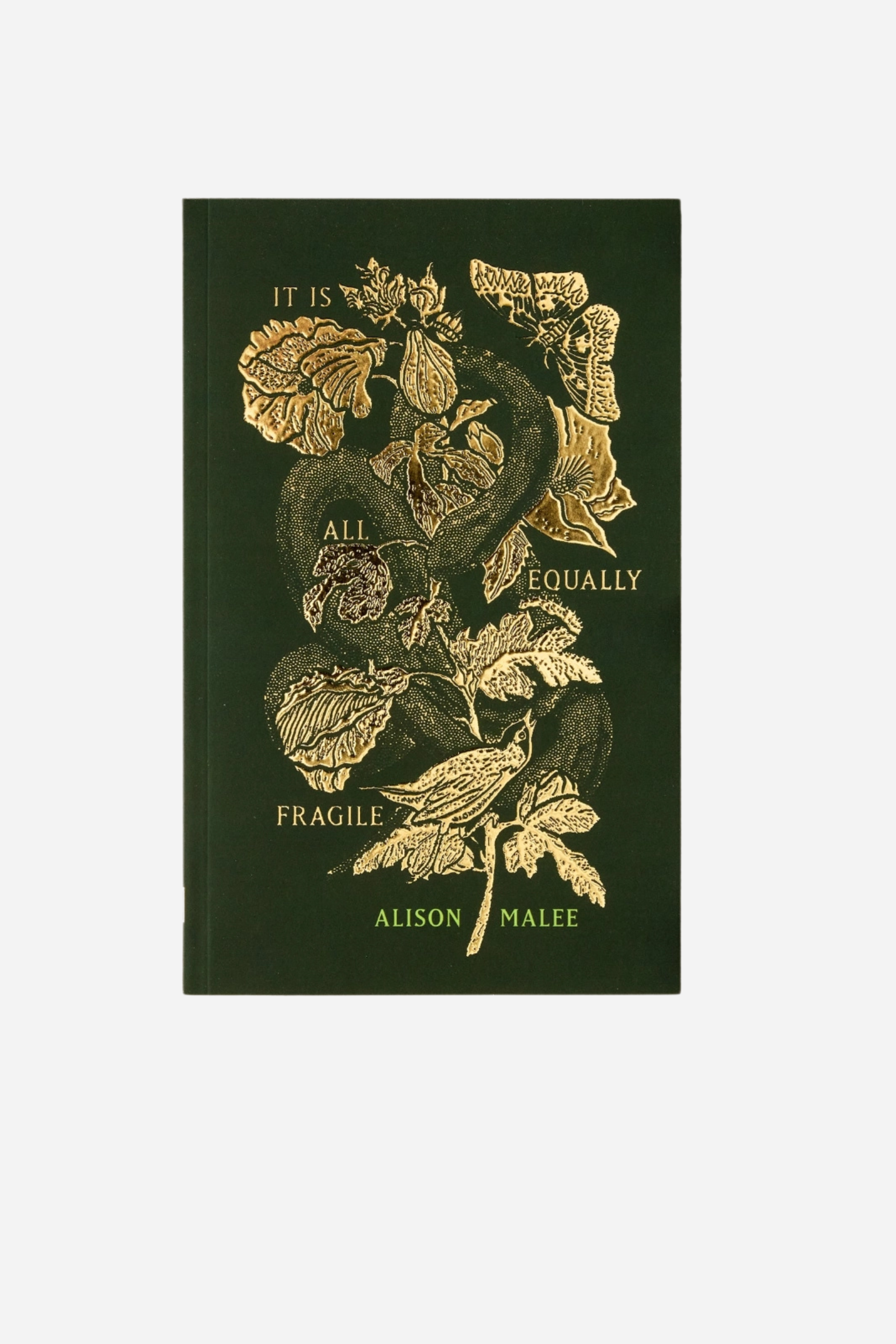 It Is All Equally Fragile Poetry Book