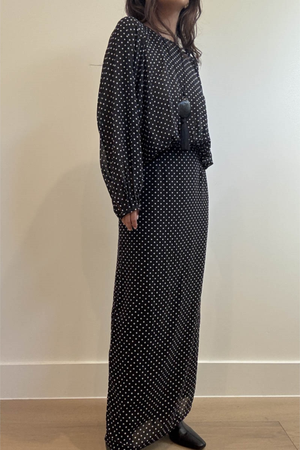 Sheer Polka Dot Printed Maxi Dress