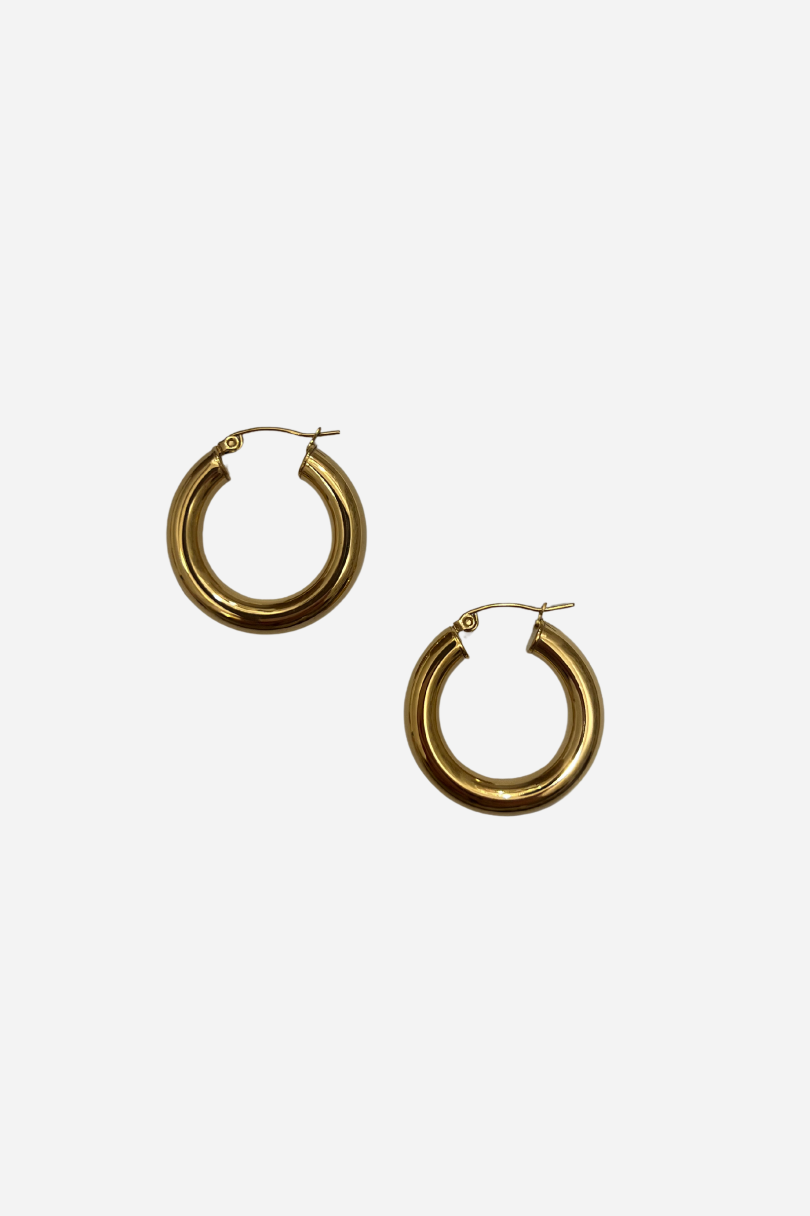 18K Wren Hoop Earrings