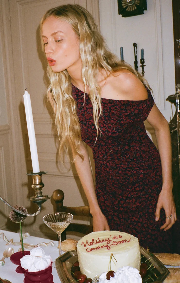 Z Supply - Fremont Dani Ditsy Dress