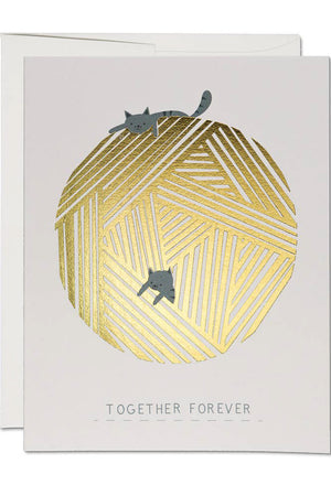 String Cats Card